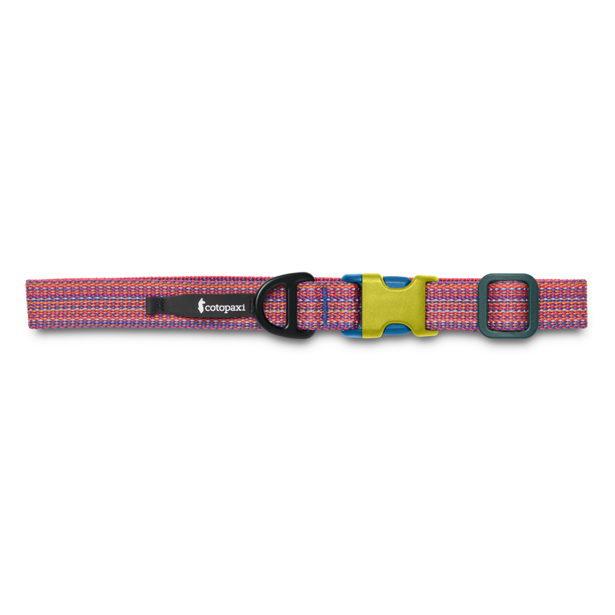Alternative view of Del Día Dog Collar