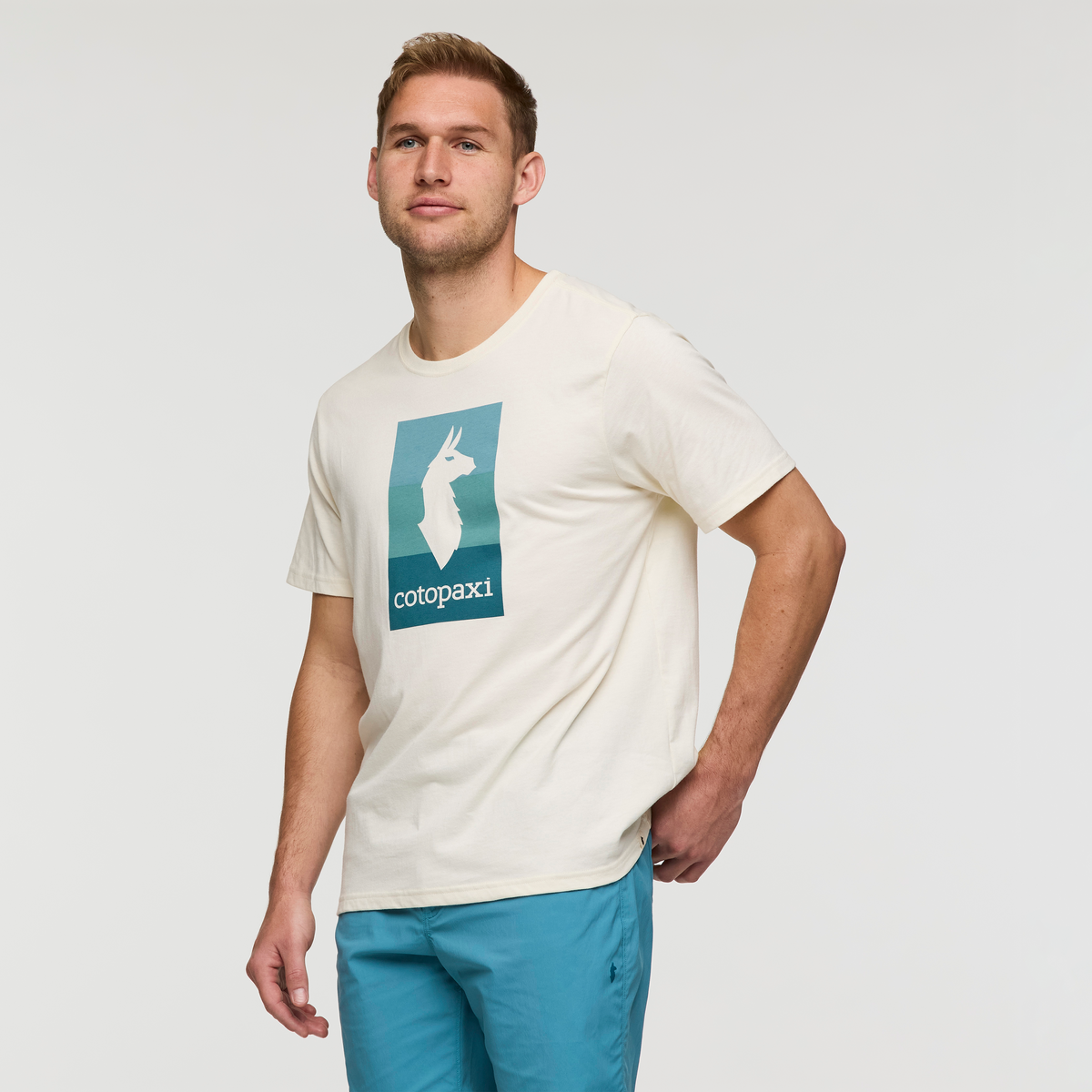 Llama Block T Shirt   Men's